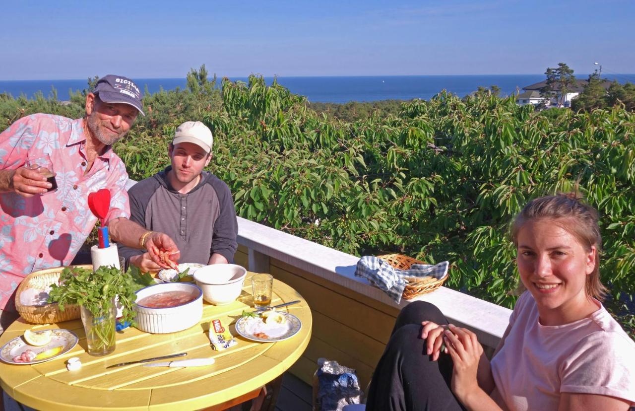 Risor Bed & Breakfast, Randvik Strand المظهر الخارجي الصورة