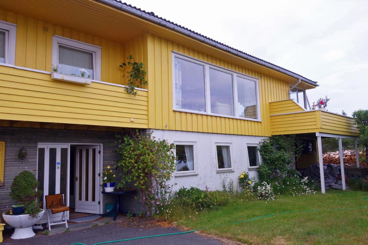 Risor Bed & Breakfast, Randvik Strand المظهر الخارجي الصورة